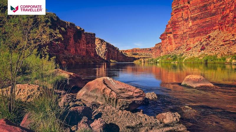 Grand Canyon Zoom Backgrounds